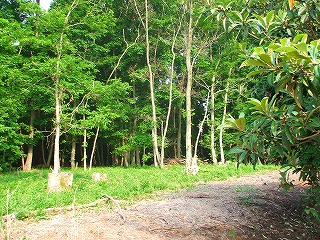 c0092983_6371687.jpg