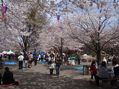 c0105785_1023115.jpg
