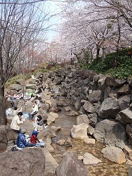 c0105785_10265128.jpg