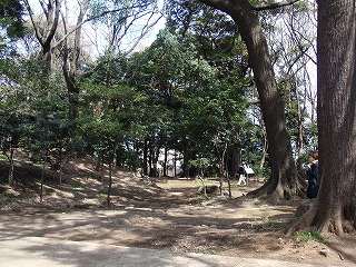 c0105785_1033075.jpg