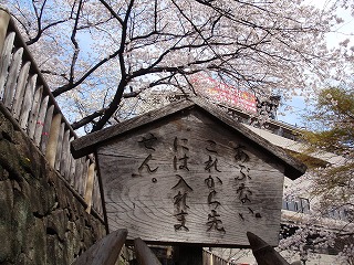 c0105785_14561721.jpg