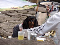 c0105785_1553978.jpg