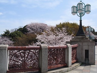 c0105785_1581579.jpg