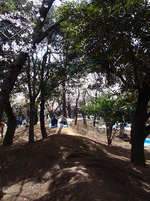 c0105785_935614.jpg