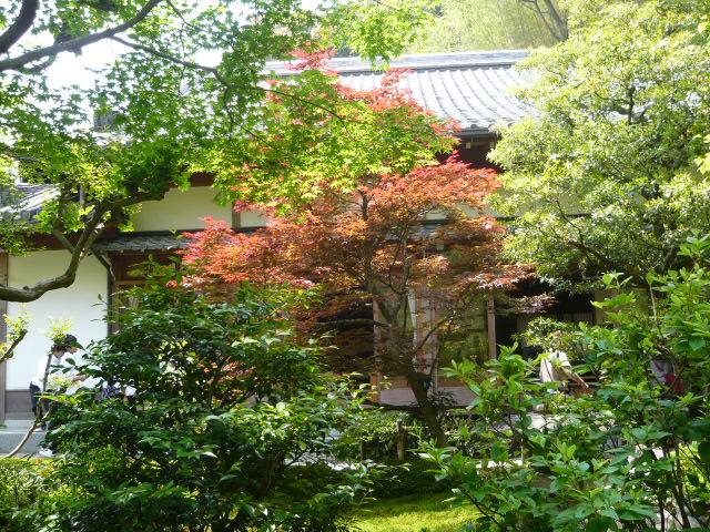d0087091_14294792.jpg