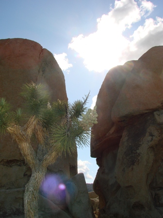 f0144493_21512.jpg