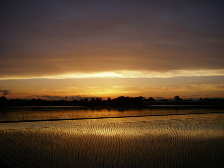 d0045295_23241536.jpg