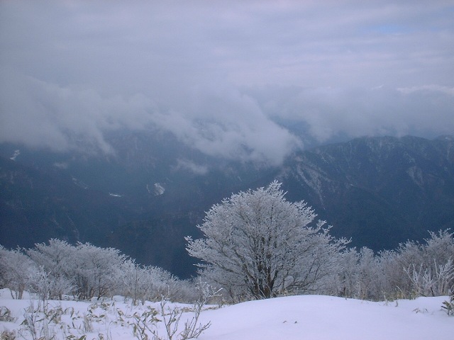 b0039898_19133034.jpg