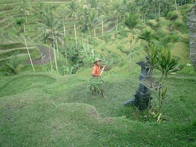 f0153998_13154768.jpg