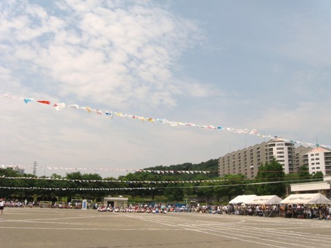 f0163298_16451628.jpg