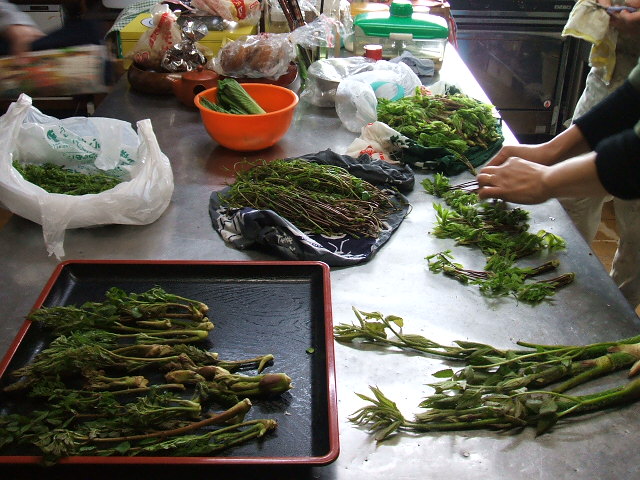 e0084001_1356502.jpg