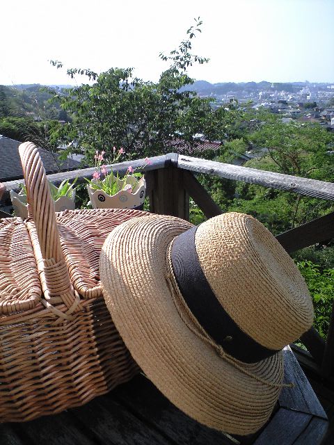 b0083902_1748672.jpg
