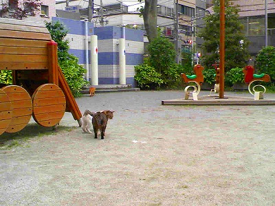 a0024005_1258589.jpg