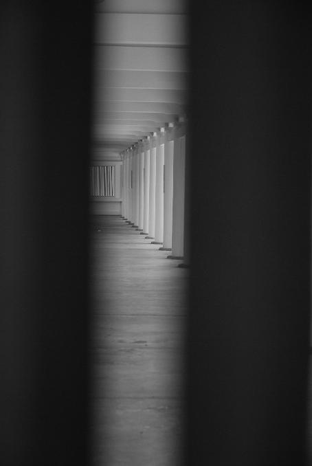 b0128609_1564539.jpg