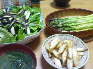 f0090009_0372960.jpg