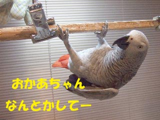 c0133013_15543412.jpg