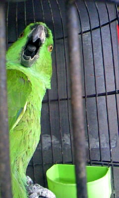 c0133013_1935471.jpg