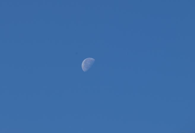 c0086014_2255734.jpg