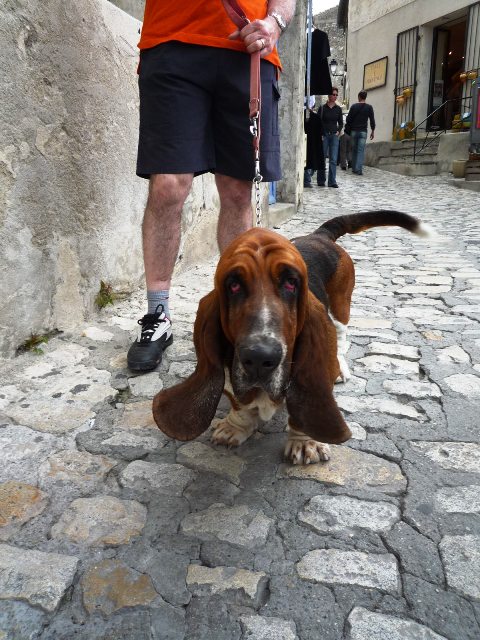 c0129317_7424153.jpg