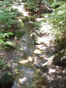 e0095517_2310297.jpg