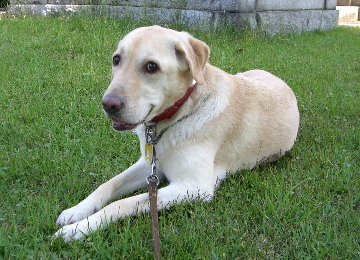 c0083618_22151549.jpg