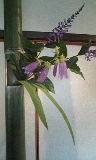 f0031420_20332590.jpg