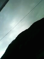 a0097823_7415350.gif