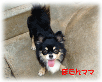 b0078030_0373320.gif