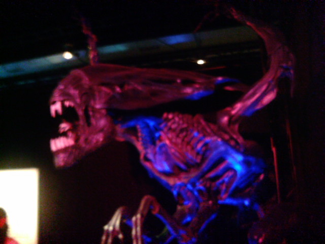 e0063632_1124885.jpg