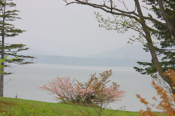 d0069235_564576.jpg
