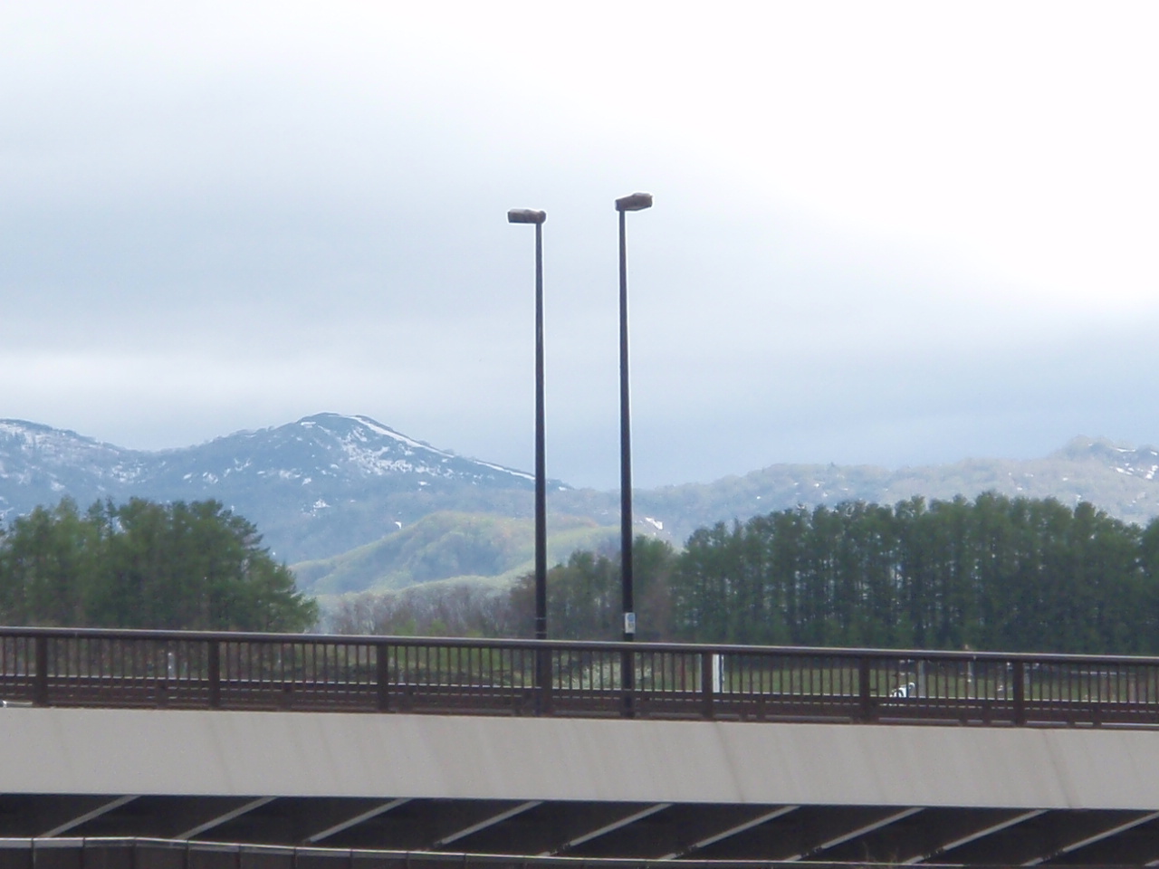 a0008538_2343371.jpg