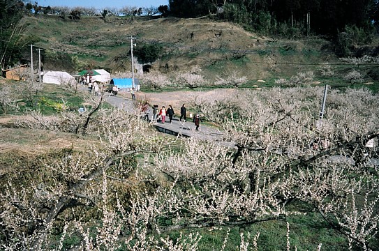 b0016043_2122590.jpg