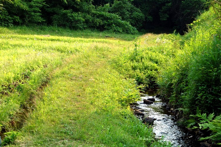 e0009147_18484791.jpg