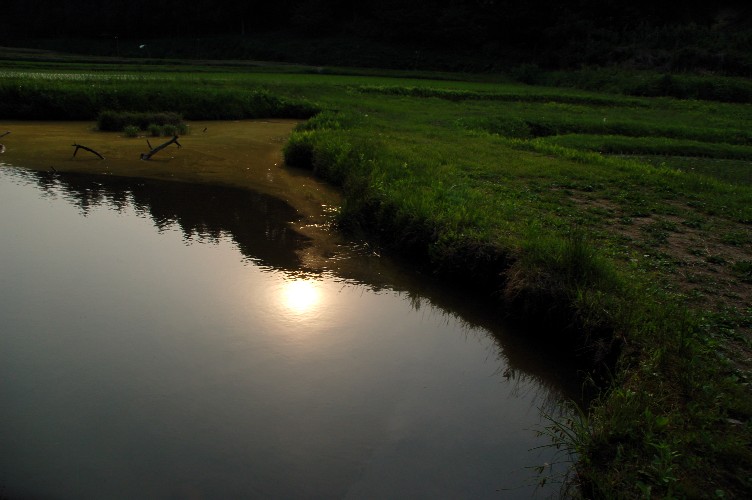 e0009147_18501287.jpg