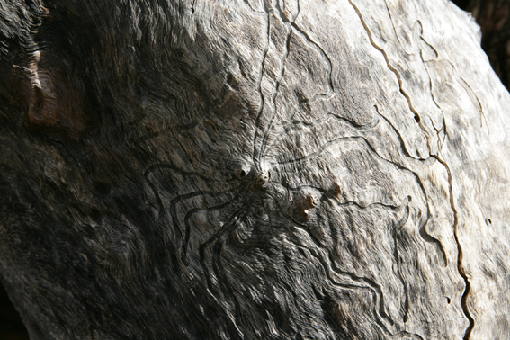 f0161647_1164324.jpg