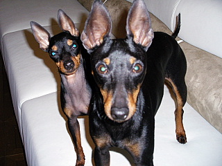 c0123149_14214336.jpg