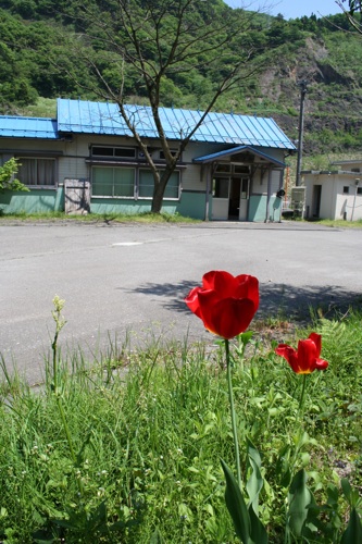 a0048851_716167.jpg