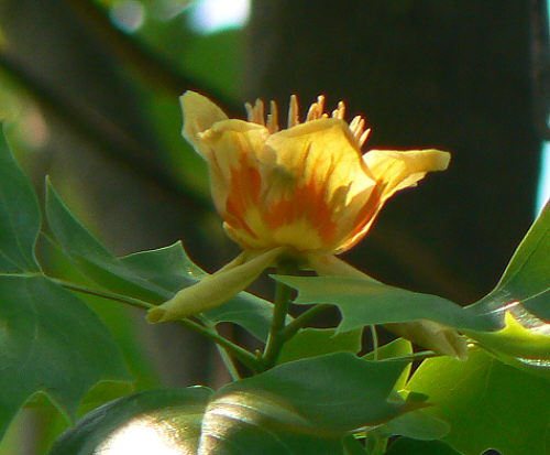 d0091754_2342193.jpg