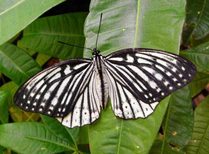 d0146854_050549.jpg