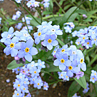 a0050669_364758.jpg