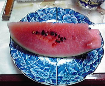 c0011169_7273883.jpg