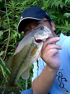 a0040876_22373050.jpg