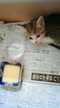 c0107180_23504448.jpg