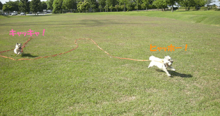 e0066883_17524053.gif