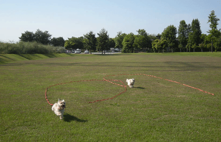 e0066883_17531025.gif