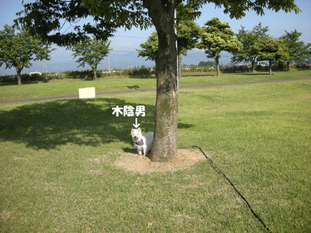 e0066883_1854638.gif