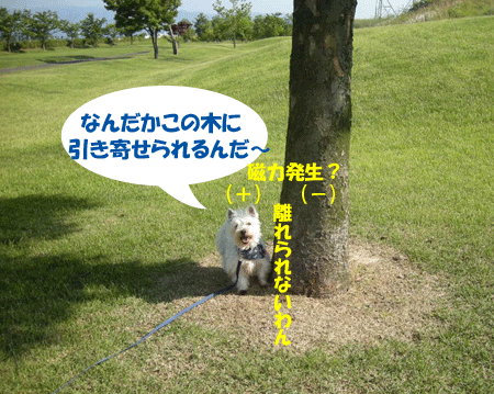 e0066883_186054.gif
