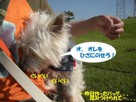 e0066883_1873742.gif