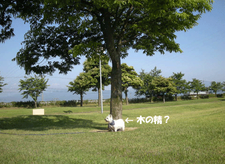 e0066883_1892255.gif