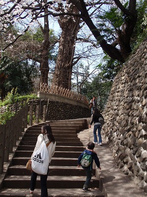 c0105785_919695.jpg